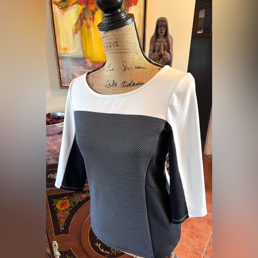 Ann Taylor 3/4 sleeve Color Block Sweater